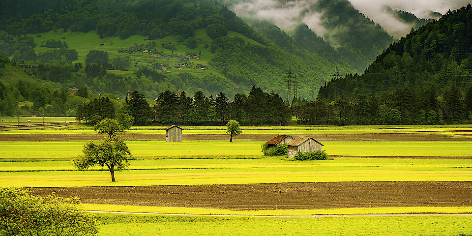 Landschaft mit Feldern